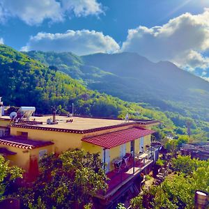 Hotel Villa Fiorentina